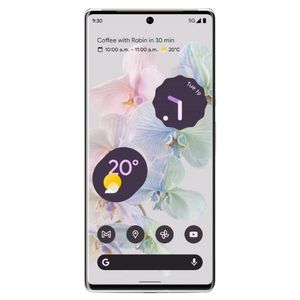 Pixel 6 Pro Accessories